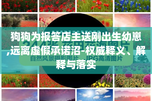 2025新澳門和香港正版免費(fèi)掛牌燈牌及2025新奧或香港資料正版大全啟發(fā)釋義、解釋與落實(shí),小心虛假的偽推廣
