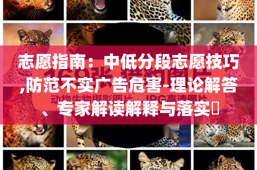 2025天天開好彩免費大全與今晚9點35特馬開獎結(jié)果和警惕虛假宣傳-透徹剖析、專家解析解釋與落實?