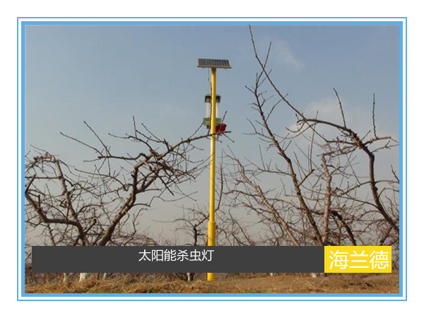 太陽(yáng)能殺蟲燈工程